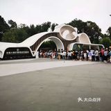 成都游//与可爱滴国宝熊猫亲密接触攻略
