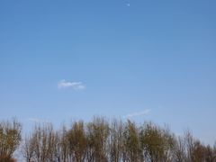 -大理洱海