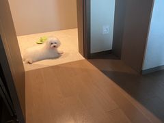 -半岛宠物医院24小时(西派城店)