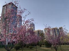 -木塔寺遗址生态公园