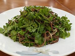 -新世纪绿洲(抚顺店)