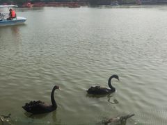 -南翠屏公园