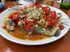-全乐鱼馆·淳牌有机鱼直营店