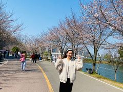 -团城山公园
