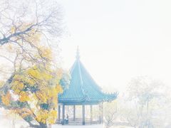 -无锡蠡湖国家湿地公园-蠡园