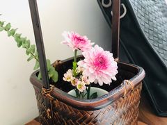 -梅间堂茶馆(绿地缤纷城店)