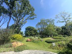 -云溪植物园