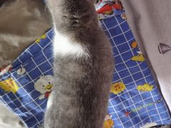 -纳吉亚猫专科动物医院博雅分院