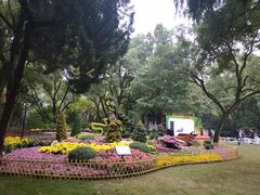 -汇龙潭