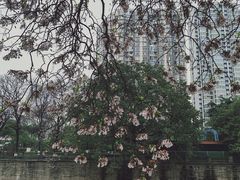 -红星桥(地铁站)