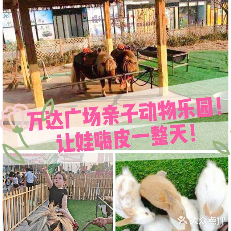 北京遛娃哪里去❓万达亲子动物园[调皮]带给娃不一样的欢乐[胜利]