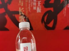 -龙美术馆(西岸馆)