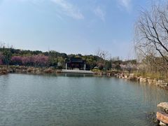 -东南大学(九龙湖校区)