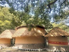 -天怡·鱼工厂(梅溪湖店)