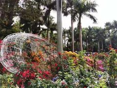 -深圳仙湖植物园