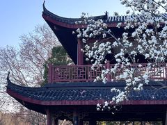 -堤角公园
