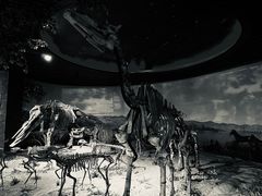 -安徽省地质博物馆