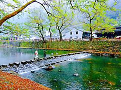 -鹿亭中村