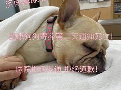 -惠康宠物医院(华能路店)