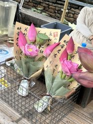 -初见汉服体验馆(拙政园店)