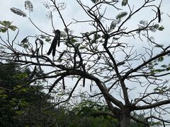 -白沙门生态公园