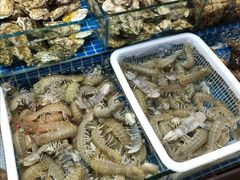 -江杨农产品批发市场