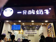 门面-一只酸奶牛(八一路店)