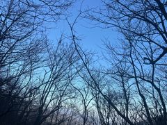 -安吉龙王山风景区