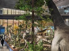 -湖南省地质博物馆