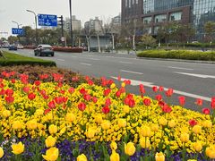 -中南南通体育会展中心