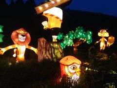 -武陵山森林公园
