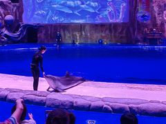 -华夏文旅海洋公园