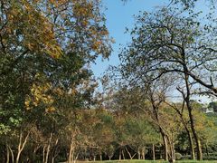 -南京市江宁方山