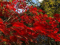 -丹东天桥沟景区