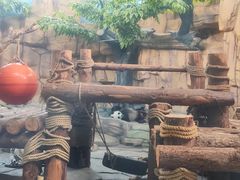 -泉州海丝野生动物世界