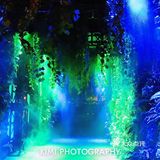 上海免费网红拍摄地 No.45|圆明园路