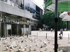 -绵阳人民公园(涪城区)