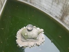 -三水森林公园