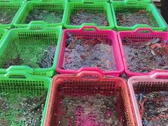 -众味海鲜大排档·活海鲜·潮汕味(南澳店)