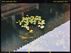 -兰亭风景区