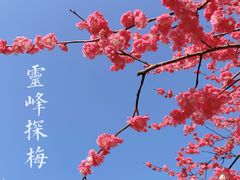 -杭州植物园
