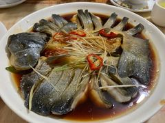 -煲来饱去冷水鱼