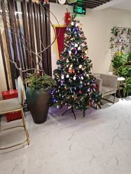 -芳朵美容养生SPA