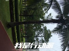 -万绿园