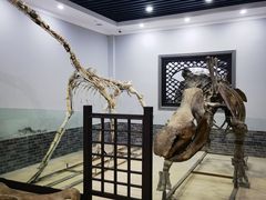 -游龙石文化科普馆