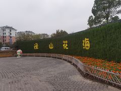 -径山花海