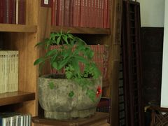 -道南書院·私房菜·早午茶·茶馆