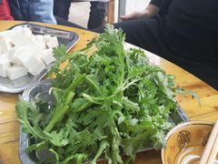 茼蒿-牛羊鲜汤锅(塔公镇菜市场店)