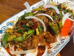 -柴窝堡22号辣子鸡·传承新疆菜