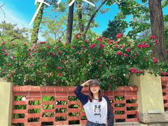 -青岛第三海水浴场